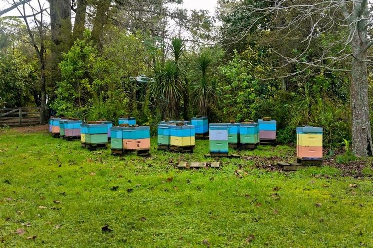 Photo of property in 135a Upper Harbour Drive, Greenhithe, Auckland, 0632