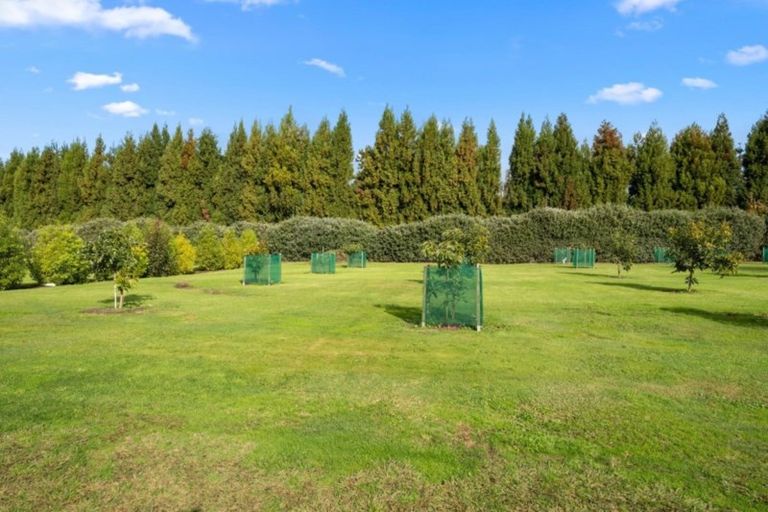 Photo of property in 21 Youngson Road, Whakamarama, Tauranga, 3180