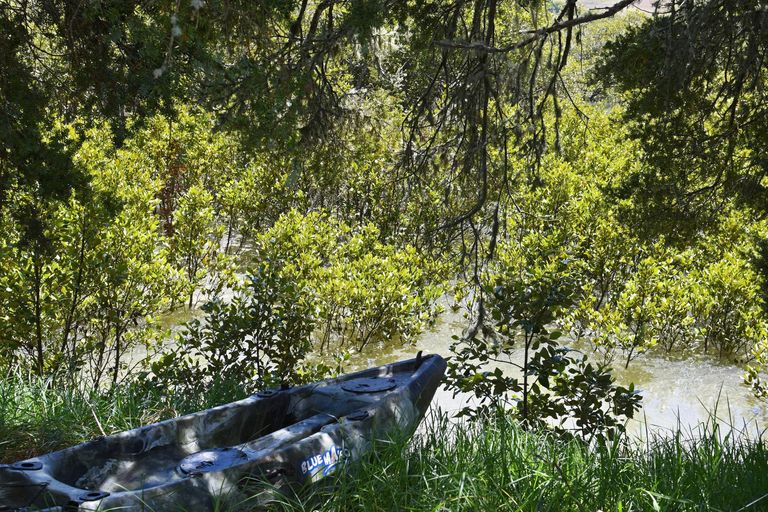 Photo of property in 107 Jumna Road, Maungaturoto, 0587