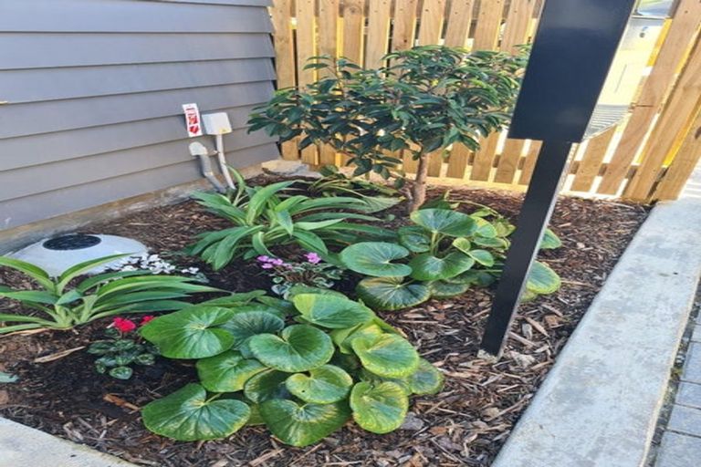 Photo of property in 43 Raupeti Lane, Henderson, Auckland, 0612