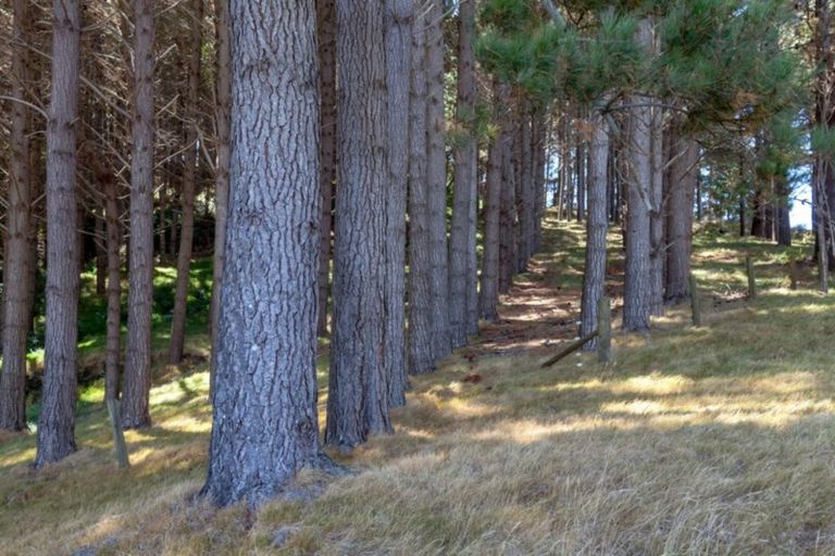 Photo of property in 61 Bliss Private Way, Thames, 3577