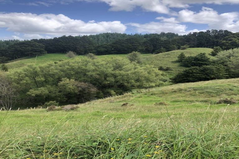 Photo of property in 725 Golden Stairs Road, Mareretu, Maungaturoto, 0589