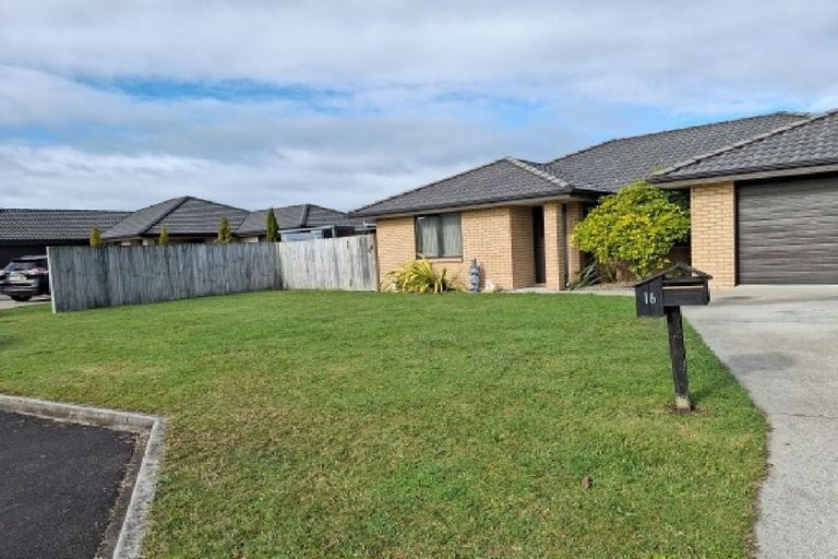 Photo of property in 16 Epping Place, Dinsdale, Hamilton, 3204