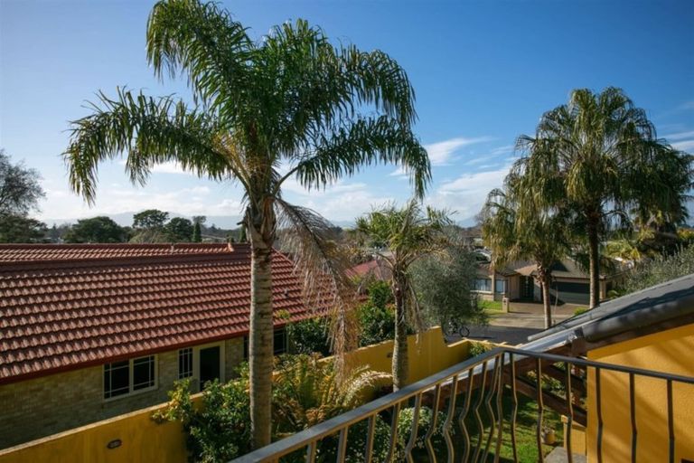 Photo of property in 31 Willow Grove, Morrinsville, 3300