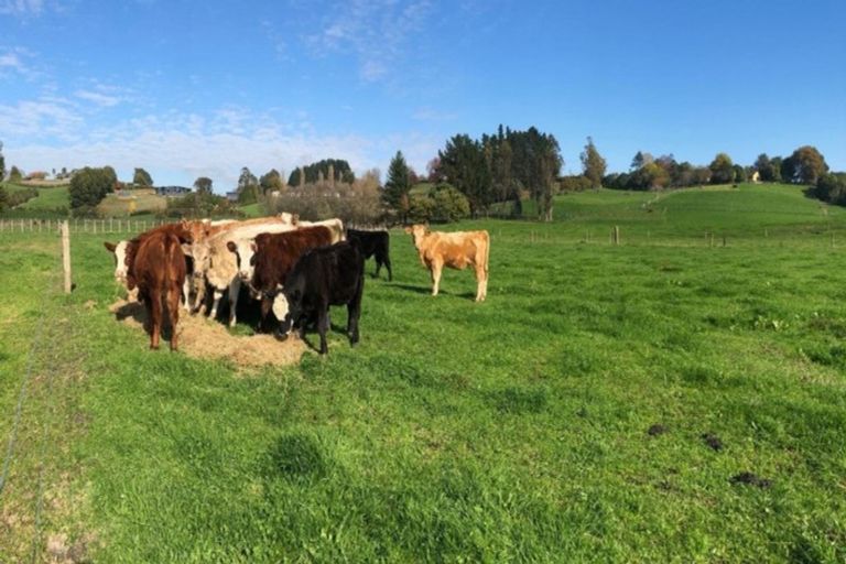 Photo of property in 30 Howden Road, Whatawhata, Hamilton, 3289