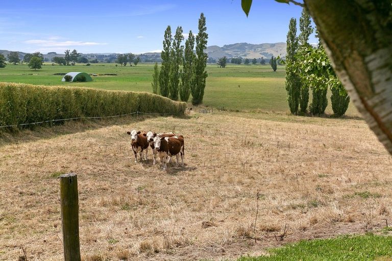 Photo of property in 273 Grice Road, Rotoorangi, Cambridge, 3495