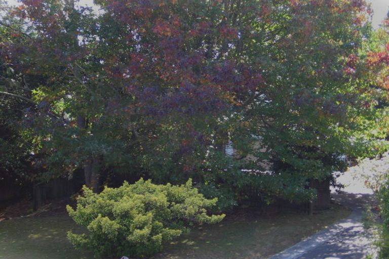 Photo of property in 38 Wilkinson Way, Browns Bay, Auckland, 0630