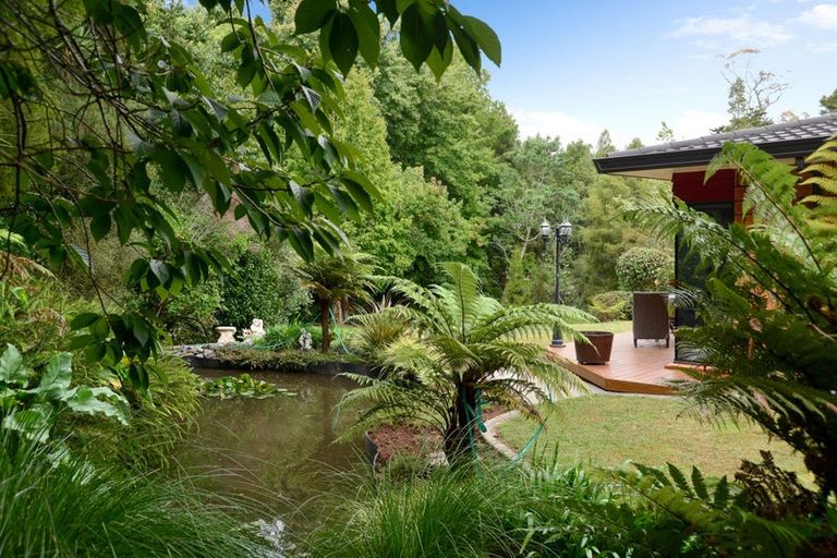 Photo of property in 31 Whyte Street, Hamilton East, Hamilton, 3216