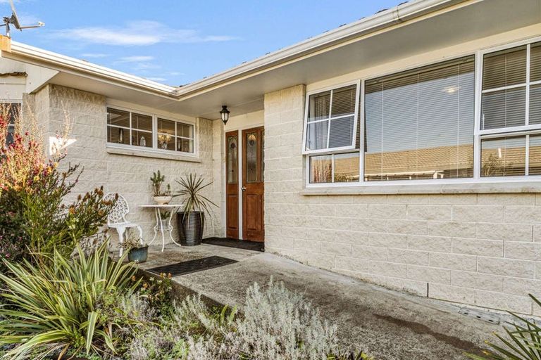 Photo of property in 15 Downes Avenue, Springvale, Whanganui, 4501