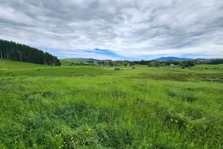 Photo of property in 201 Pond Road, Raglan, 3295