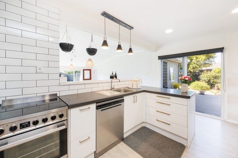 Photo of property in 50 Haydon Street, Roslyn, Palmerston North, 4414