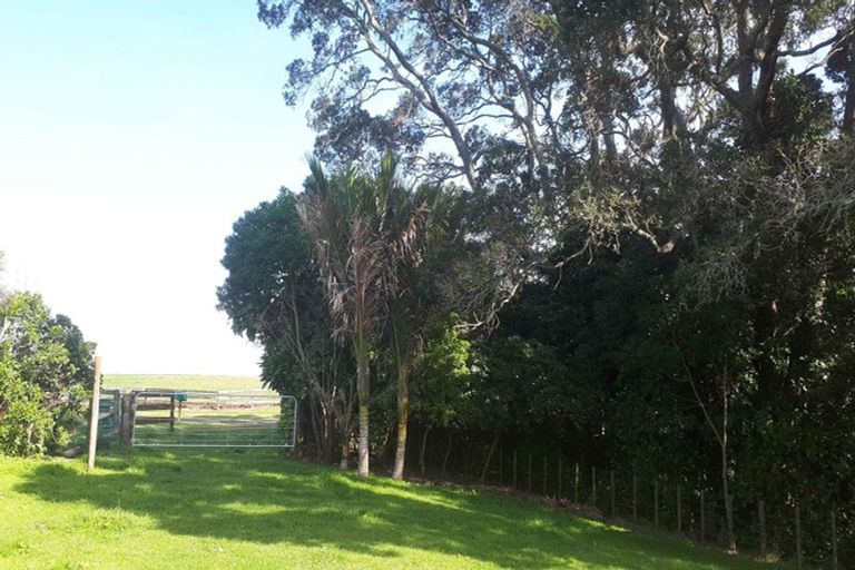 Photo of property in 59 Pohutukawa Drive, Waiotahe, Opotiki, 3198