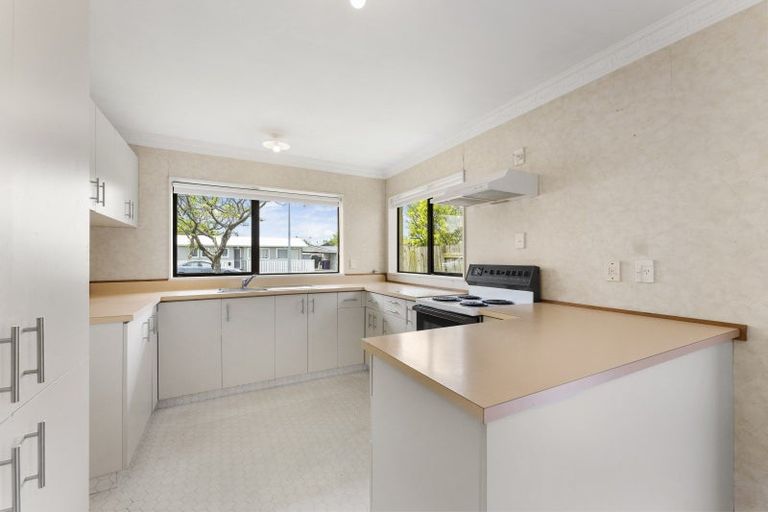 Photo of property in 98b Limbrick Street, Terrace End, Palmerston North, 4410