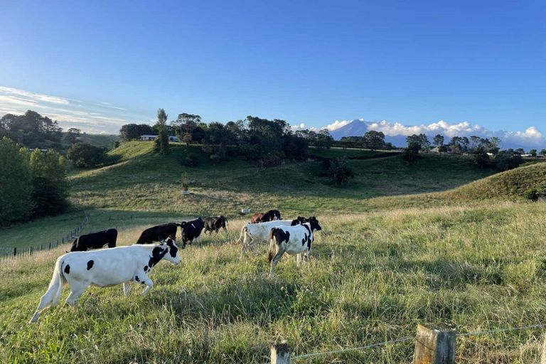 Photo of property in 187 Smart Road, Hillsborough, New Plymouth, 4372