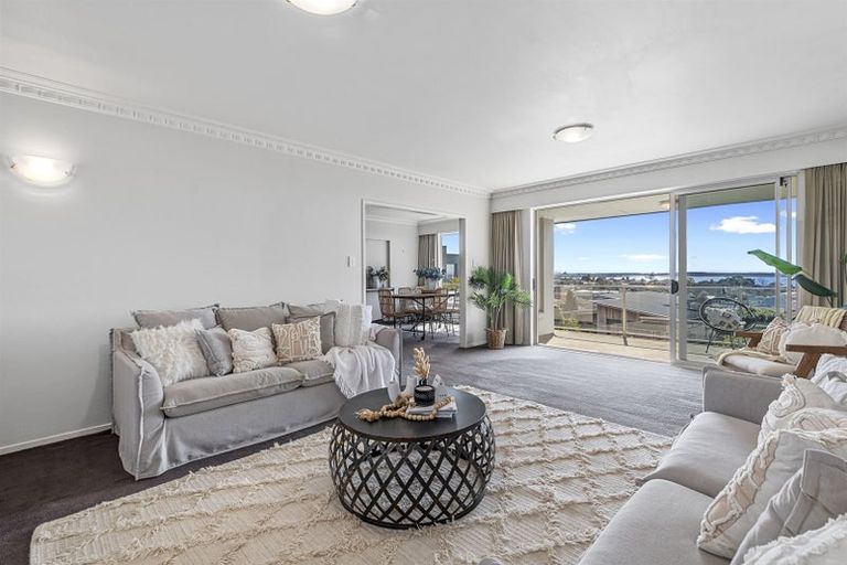 Photo of property in 10 Hazel Terrace, Otumoetai, Tauranga, 3110