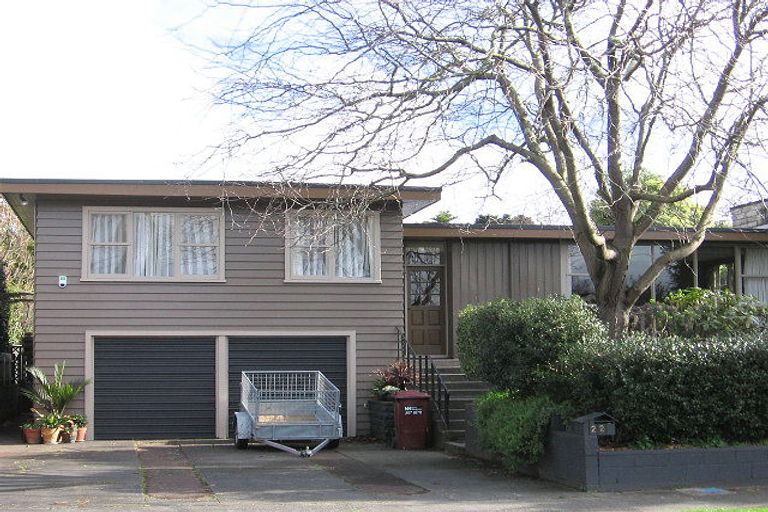 Photo of property in 22 Lincoln Terrace, Hokowhitu, Palmerston North, 4410
