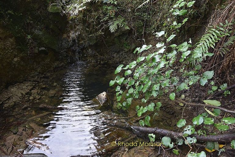 Photo of property in 186 Metcalfe Road, Ranui, Auckland, 0612