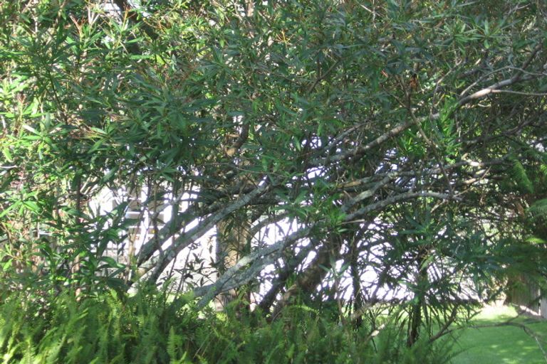 Photo of property in 37 Fairmount Road, Titirangi, Auckland, 0604