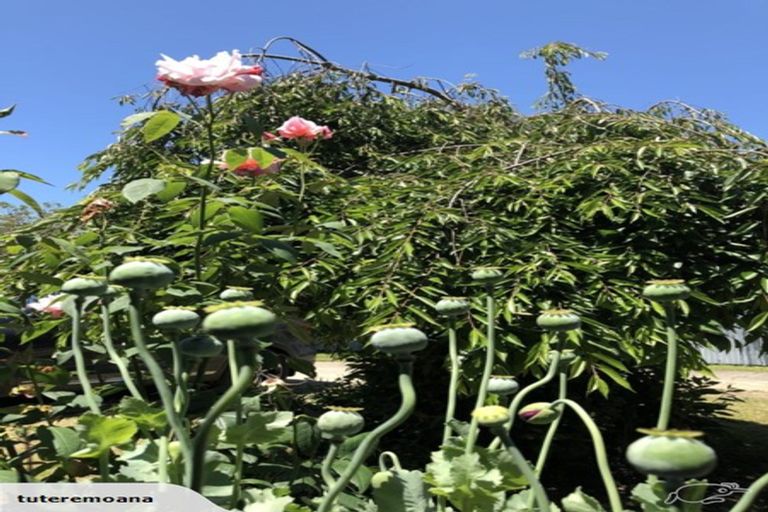 Photo of property in 72 Kent Street, Carterton, 5713