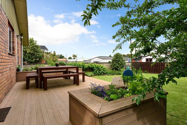 Photo of property in 12 Patrick Place, Fitzroy, Hamilton, 3206