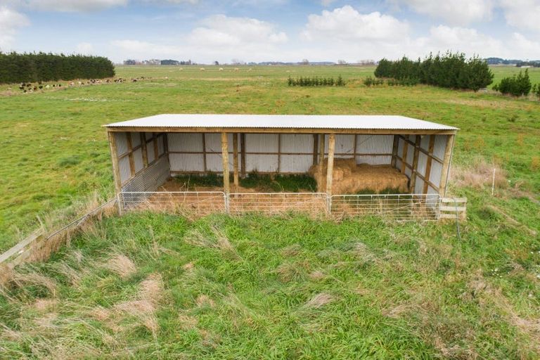 Photo of property in 265 Hoihere Road, Tiakitahuna, Palmerston North, 4477