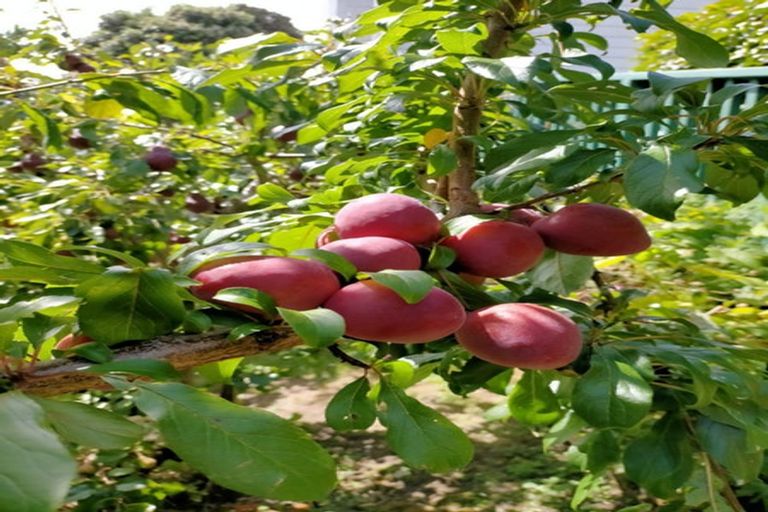 Photo of property in 154 Owen Street, Newtown, Wellington, 6021