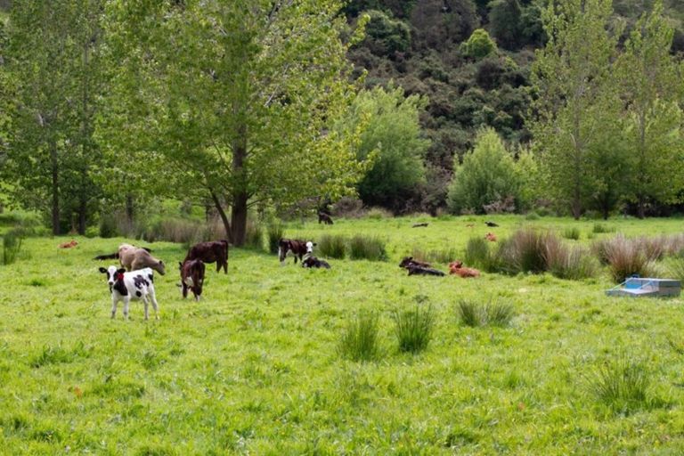 Photo of property in 185 Kaukatea Valley Road, Okoia, Whanganui, 4582