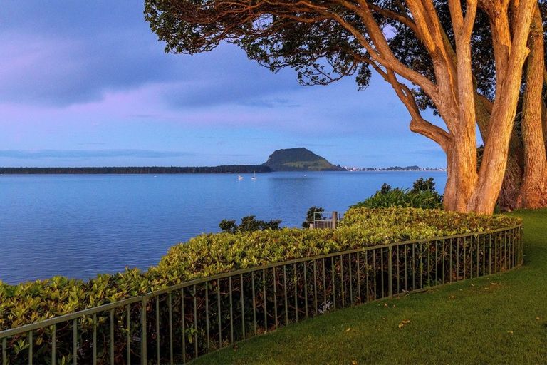 Photo of property in 41 Woods Avenue, Matua, Tauranga, 3110