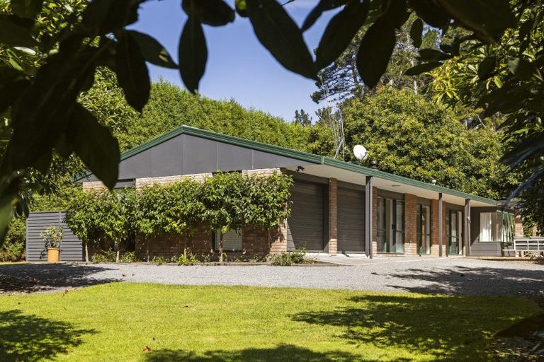 Photo of property in 41 I'anson Road, Minden, Tauranga, 3179