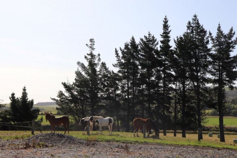 Photo of property in 1798 Wyndham Mokoreta Road, Redan, Wyndham, 9892