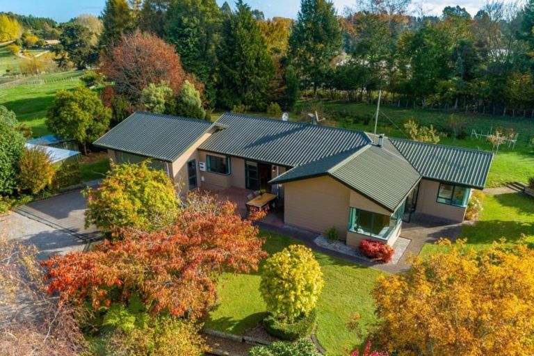 Photo of property in 12 Palmer Mill Road, Wairakei, Taupo, 3384