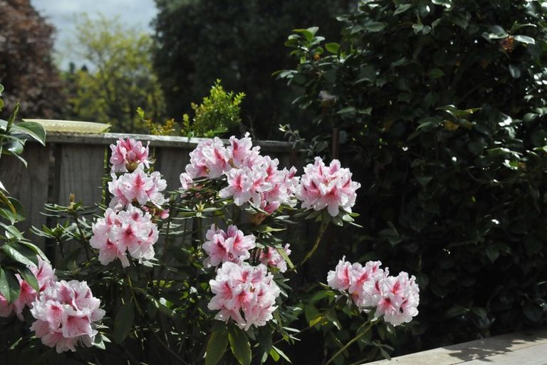 Photo of property in 222a Rifle Range Road, Tauhara, Taupo, 3330