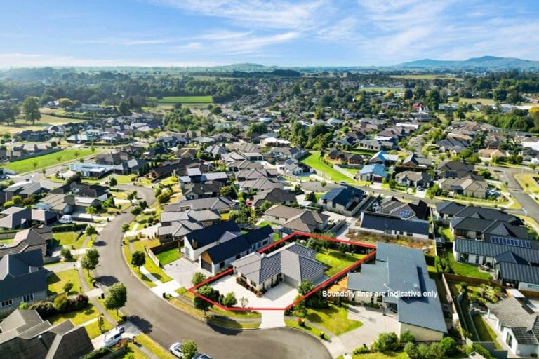 Photo of property in 19 Ballybunnion Crescent, Morrinsville, 3300