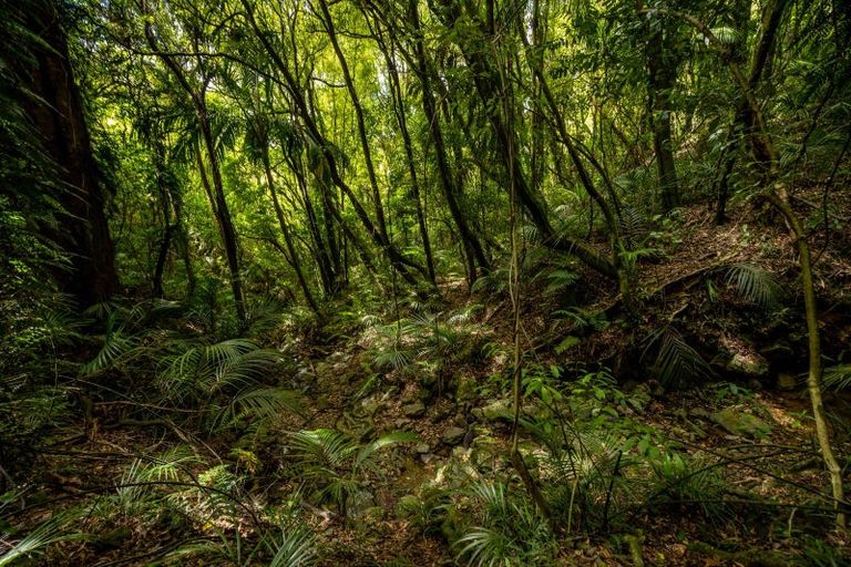 Photo of property in 185 Kanuka Rise, Wakapuaka, Nelson, 7071