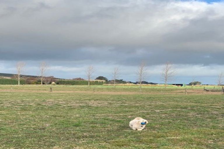 Photo of property in 3 Gibraltar Close, Tai Tapu, 7672