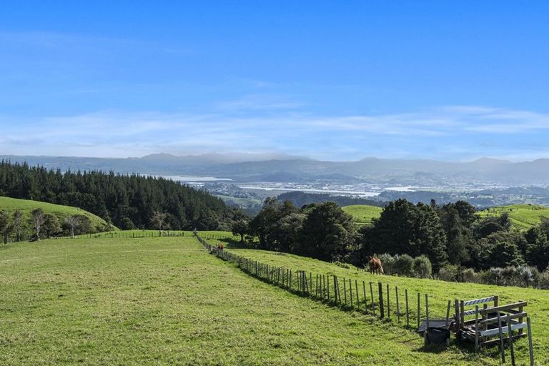 Photo of property in 460 Mount Tiger Road, Whareora, Onerahi, 0192