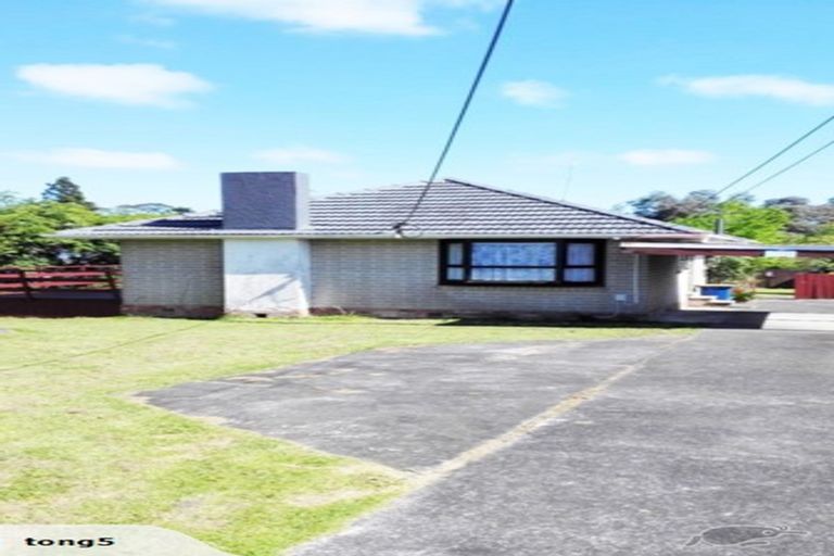 Photo of property in 29 Fairdene Avenue, Henderson, Auckland, 0610