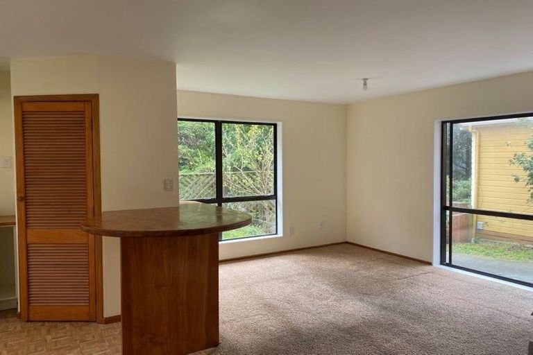 Photo of property in 63 Holloway Road, Aro Valley, Wellington, 6021