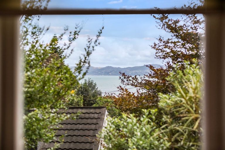 Photo of property in 49 Rona Street, Eastbourne, Lower Hutt, 5013