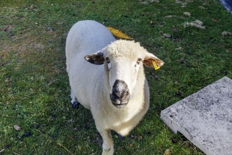 Photo of property in 95 Sweetacres Drive, Belmont, Lower Hutt, 5010