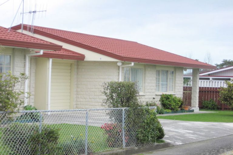 Photo of property in 65a Winchester Street, Levin, 5510