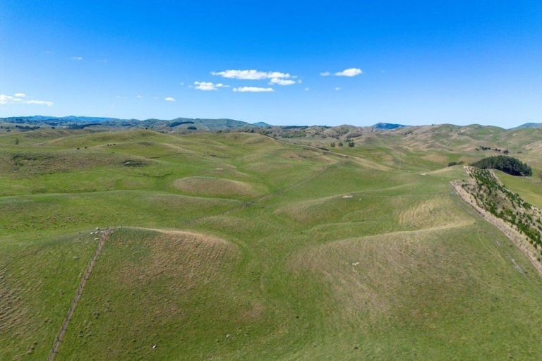 Photo of property in 300 Pattison Road, Akina, Hastings, 4122