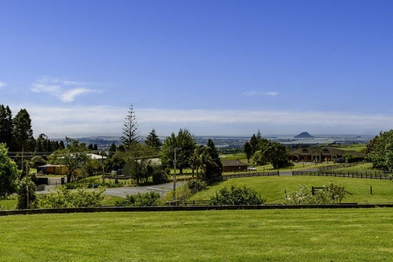 Photo of property in 4 Adrine Lane, Ohauiti, Tauranga, 3173