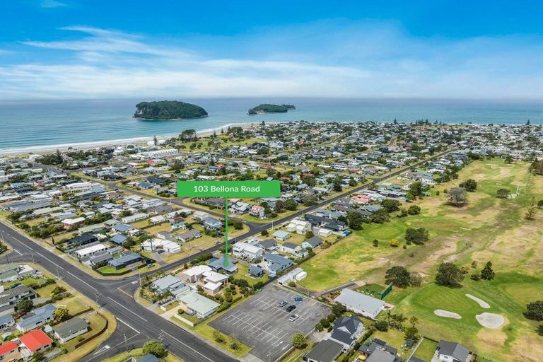 Photo of property in 103 Bellona Road, Whangamata, 3620