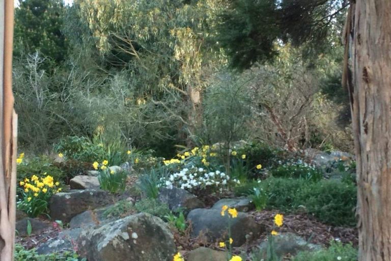 Photo of property in 806 Mount Cargill Road, Mount Cargill, Waitati, 9085