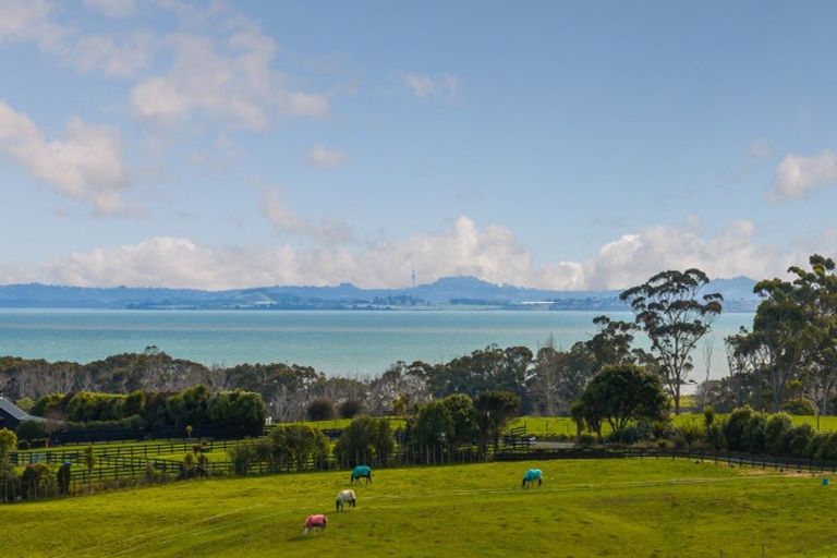 Photo of property in 425 Clarks Beach Road, Waiau Pa, Pukekohe, 2679