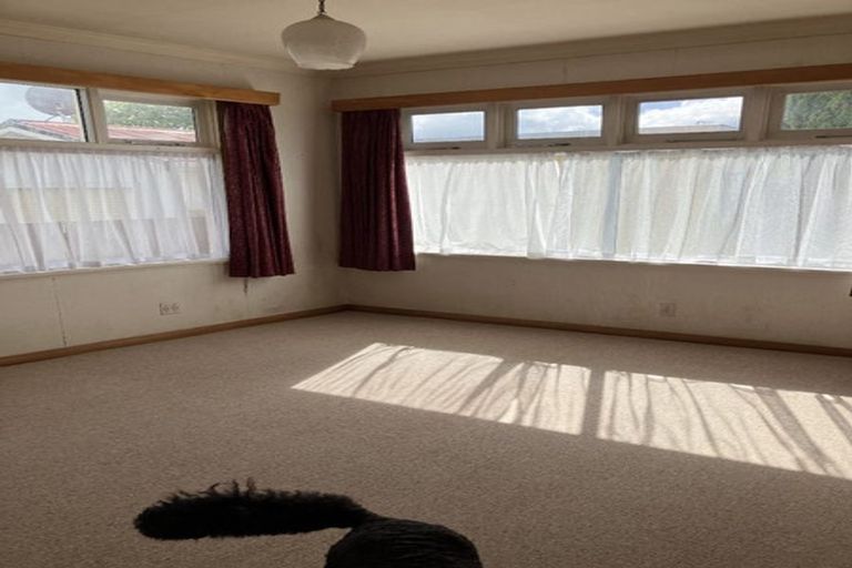 Photo of property in 8 Carlisle Street, Levin, 5510