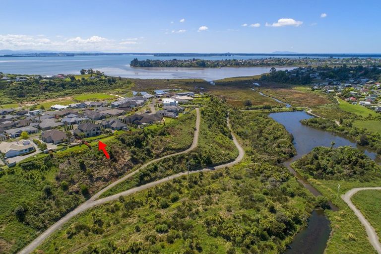 Photo of property in 66 Balmedie Ridge, Bethlehem, Tauranga, 3110