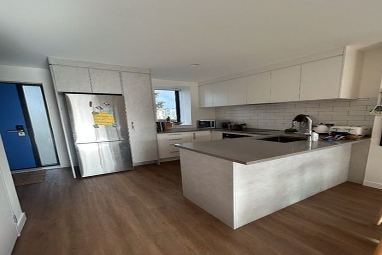 Photo of property in 9e Playfair Road, Mount Roskill, Auckland, 1041