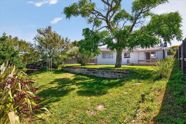 Photo of property in 33 Leicester Street, Terrace End, Palmerston North, 4410